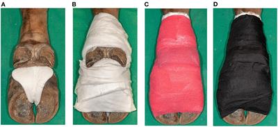 Treatment of digital dermatitis using salicylic acid in European bison (Bison bonasus) reveals promising results